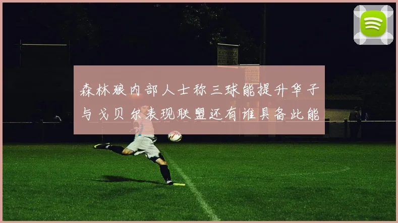 森林狼内部人士称三球能提升华子与戈贝尔表现联盟还有谁具备此能力