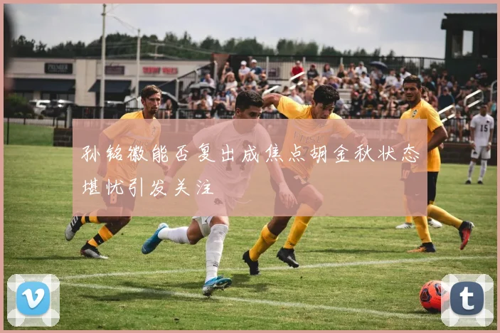 孙铭徽能否复出成焦点胡金秋状态堪忧引发关注
